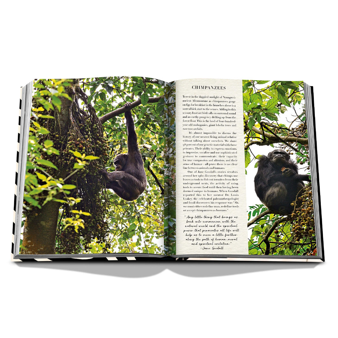 Assouline | African Adventures: The Greatest Safari on Earth