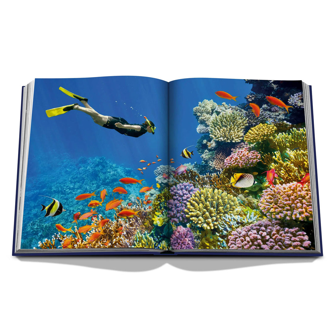 Assouline | Ocean Wanderlust
