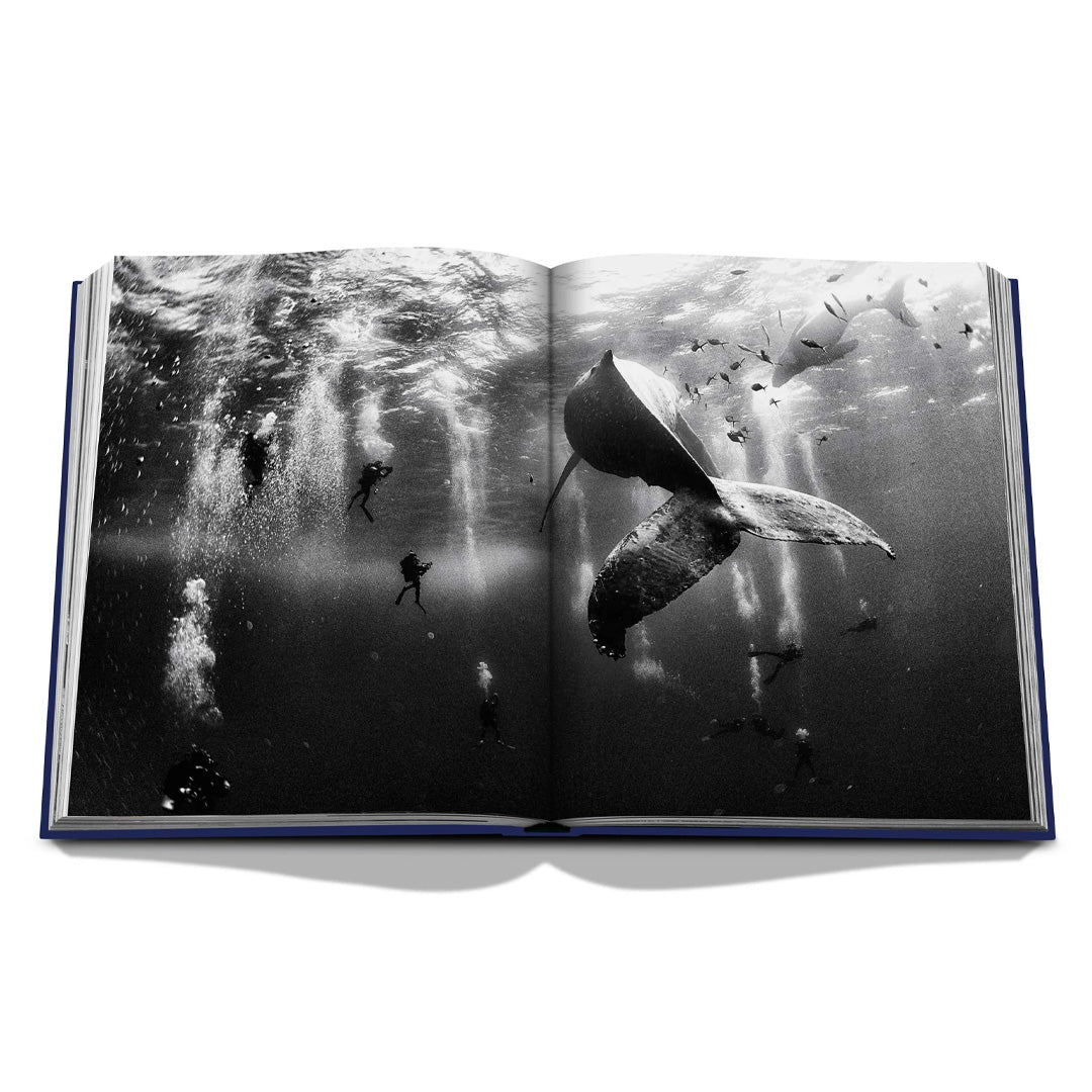 Assouline | Ocean Wanderlust
