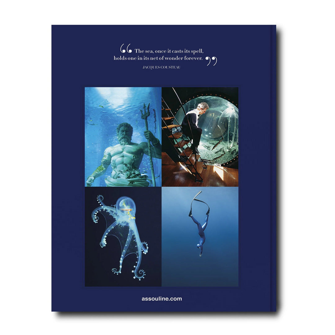 Assouline | Ocean Wanderlust