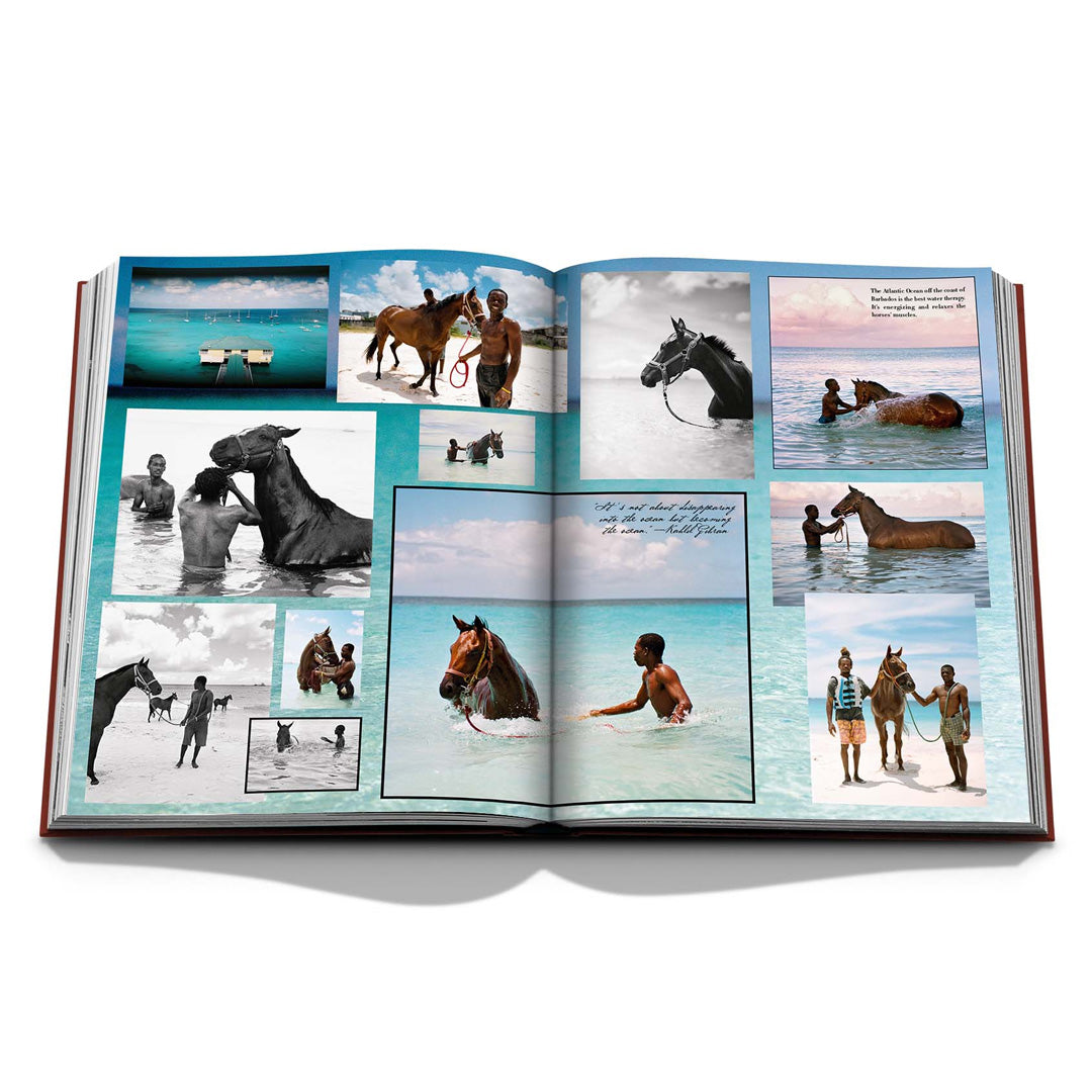 Assouline | Polo Heritage