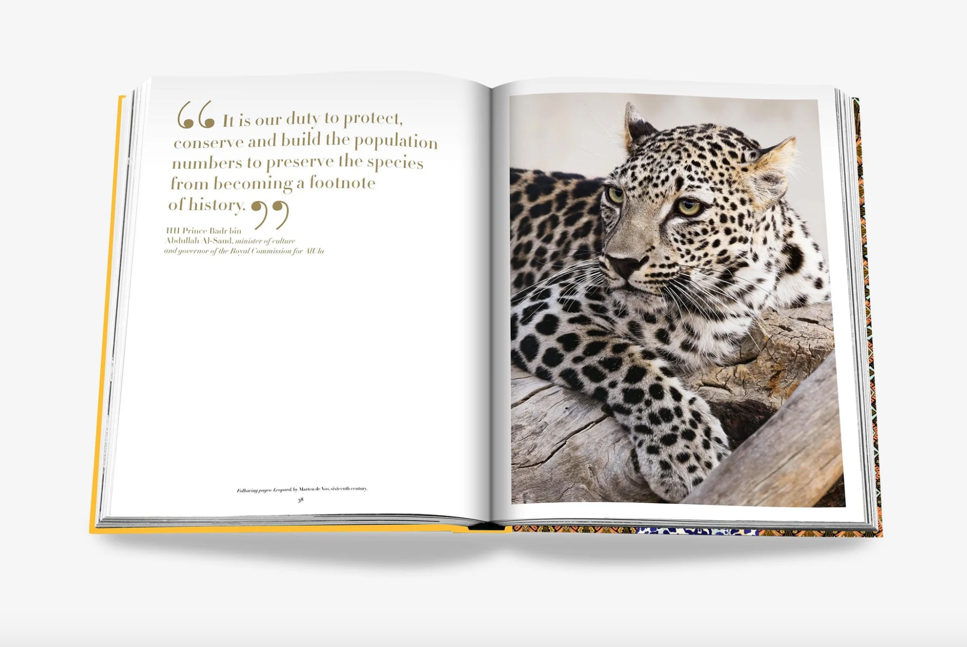 Assouline | Arabian Leopard