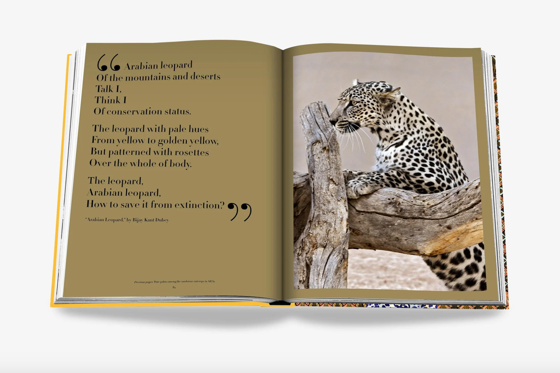 Assouline | Arabian Leopard