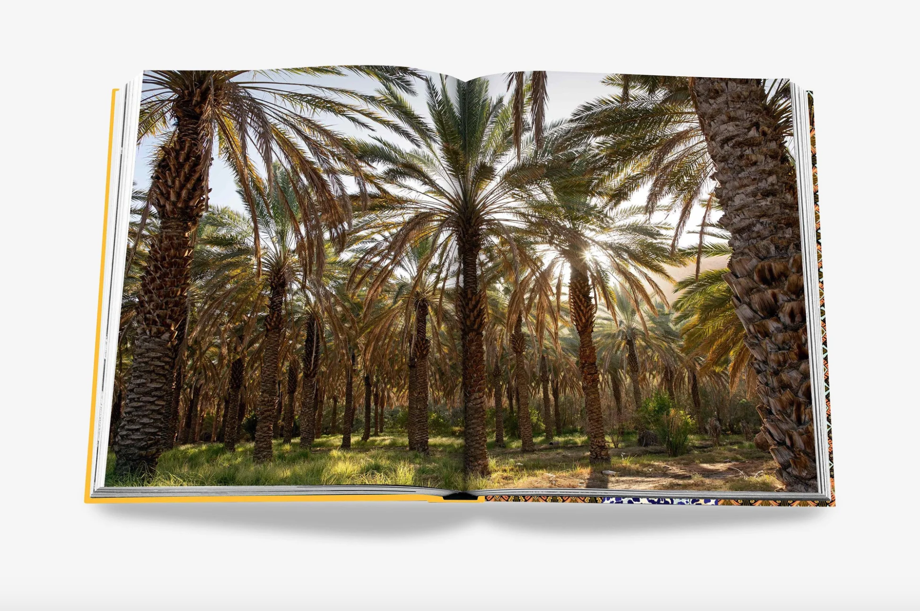 Assouline | Arabian Leopard