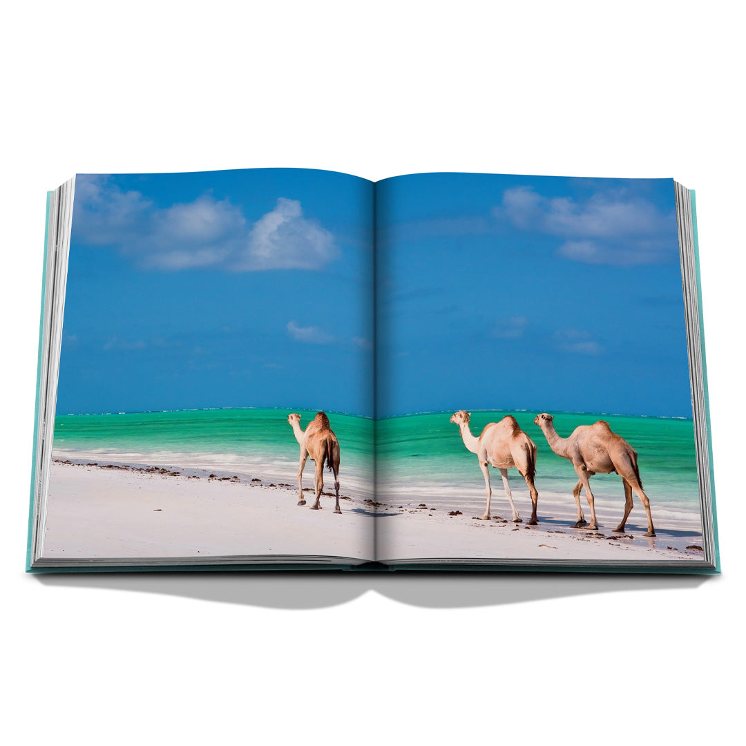 Assouline | Saudi Arabia: Red Sea, The Saudi Coast