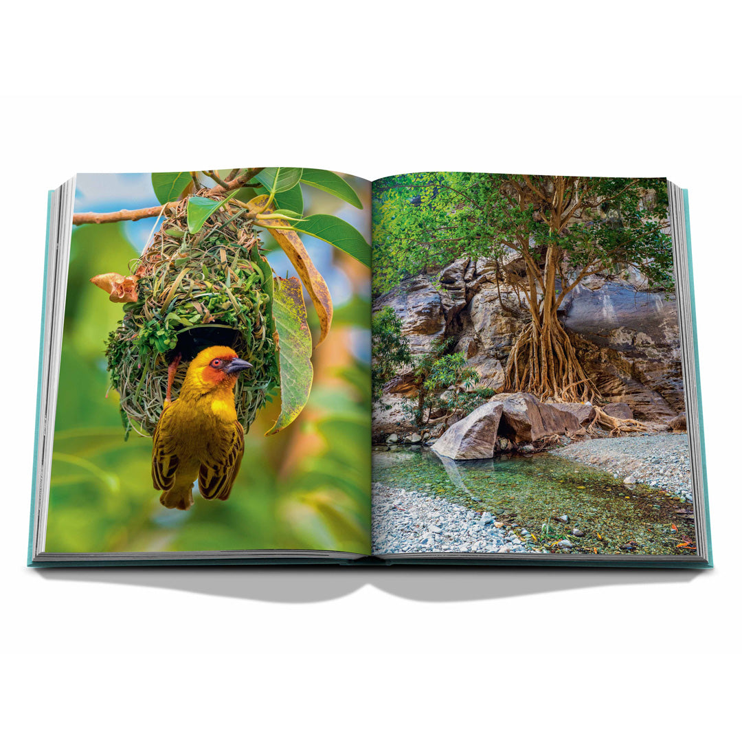 Assouline | Saudi Arabia: Red Sea, The Saudi Coast